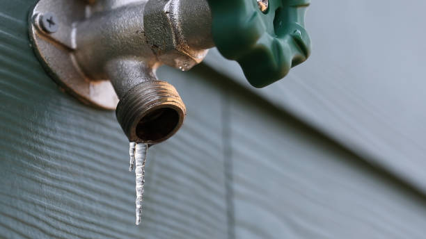 Best Local Plumber Services  in Fruitland, ID
